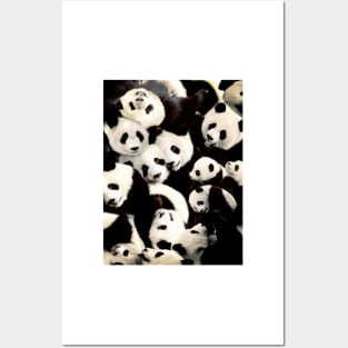 Pandas Posters and Art